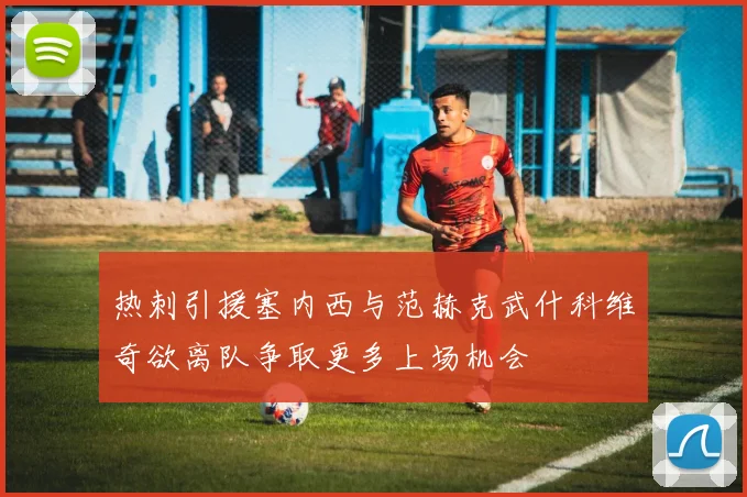 热刺引援塞内西与范赫克武什科维奇欲离队争取更多上场机会