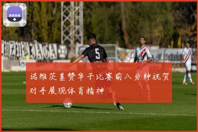 诺维茨基赞华子比赛前八分钟祝贺对手展现体育精神